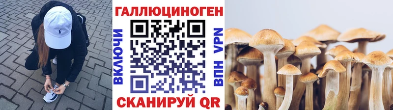наркошоп  Брянск  Галлюциногенные грибы Psilocybine cubensis 